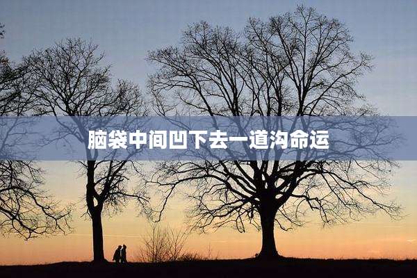脑袋中间凹下去一道沟命运