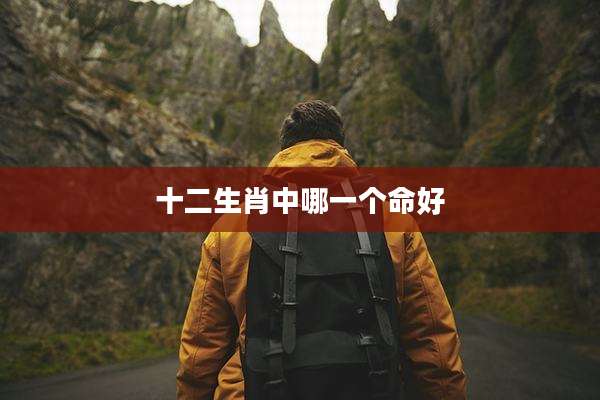 十二生肖中哪一个命好