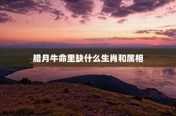 腊月牛命里缺什么生肖和属相