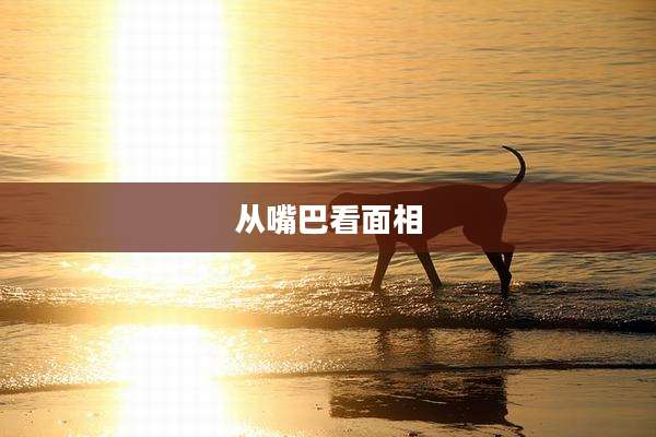 从嘴巴看面相