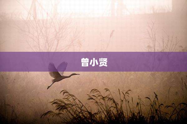 曾小贤