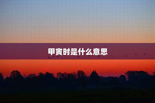 甲寅时是什么意思