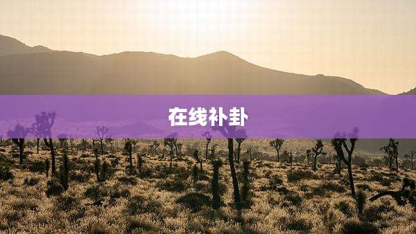 在线补卦