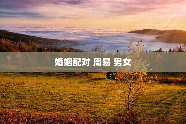 婚姻配对 周易 男女