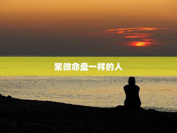 紫微命盘一样的人