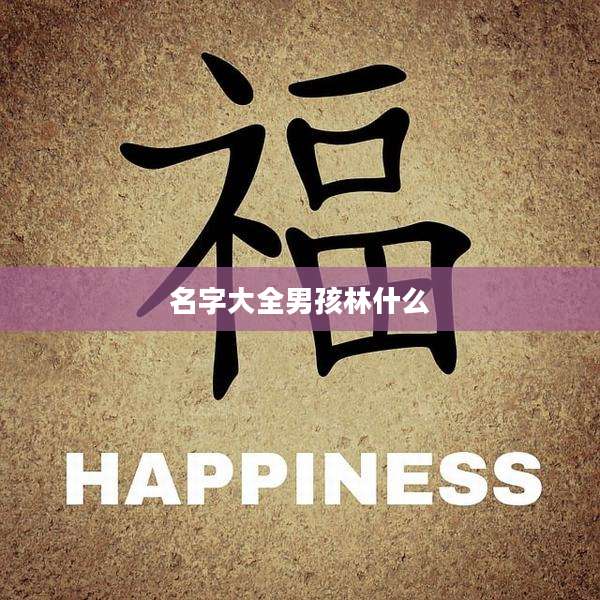 名字大全男孩林什么