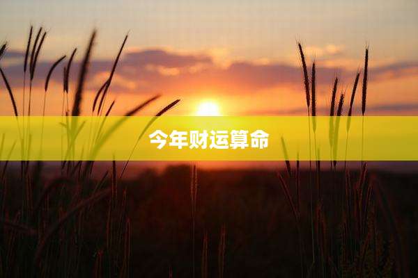 今年财运算命