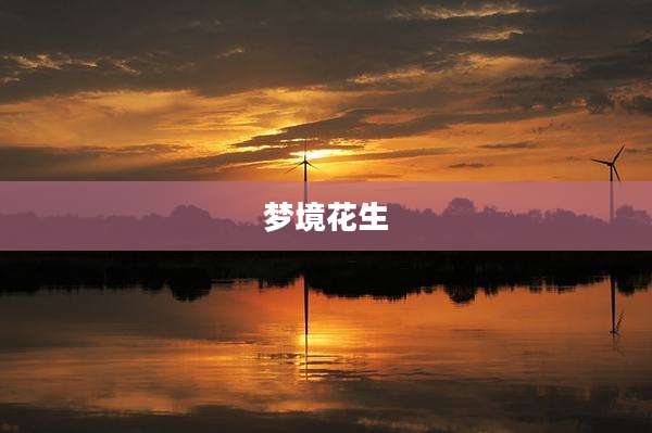 梦境花生