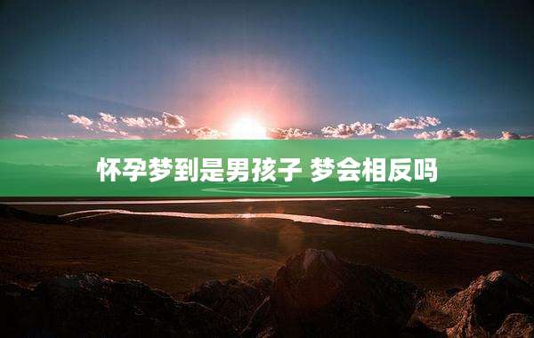 怀孕梦到是男孩子 梦会相反吗