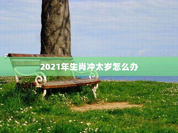 2021年生肖冲太岁怎么办