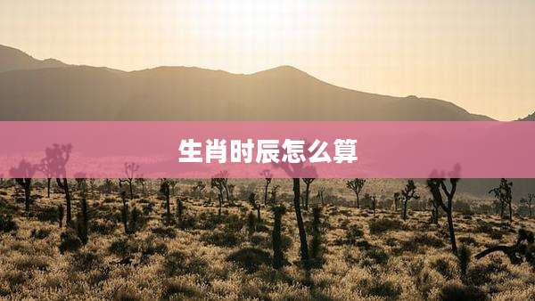 生肖时辰怎么算