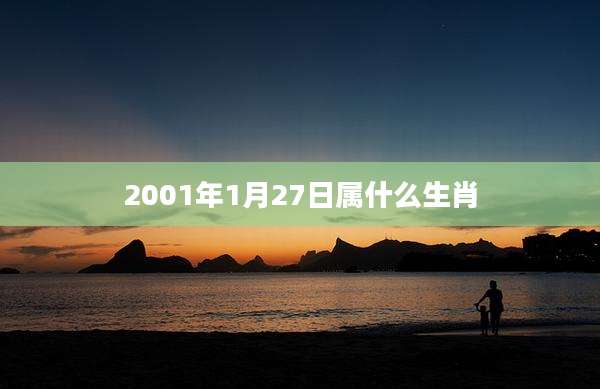 2001年1月27日属什么生肖