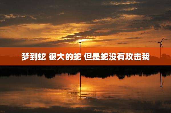 梦到蛇 很大的蛇 但是蛇没有攻击我