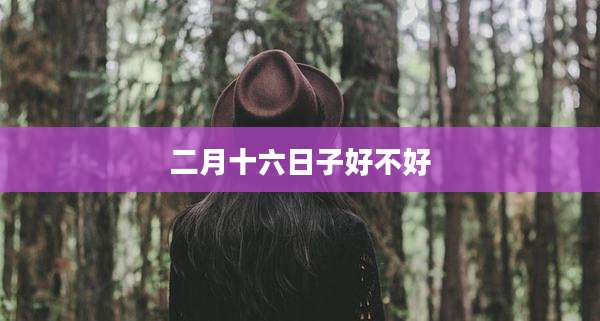 二月十六日子好不好