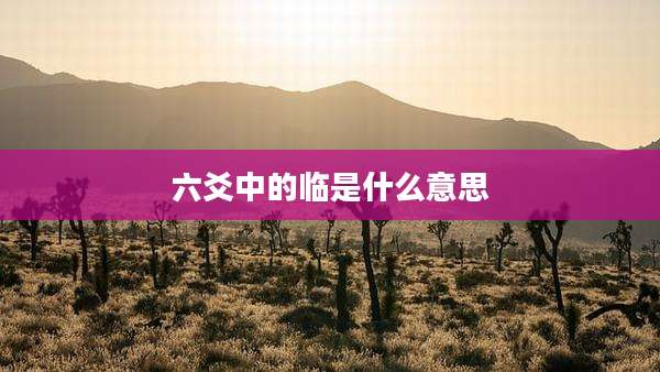 六爻中的临是什么意思
