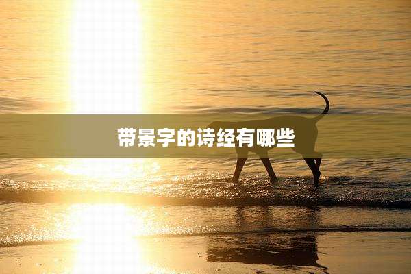 带景字的诗经有哪些