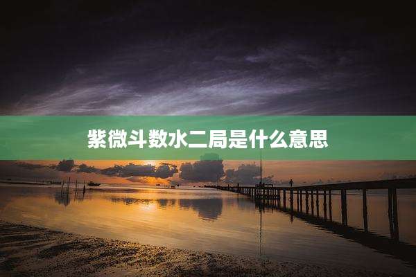 紫微斗数水二局是什么意思