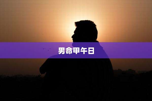 男命甲午日