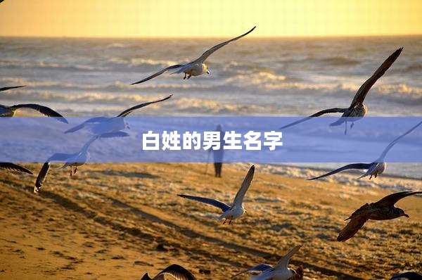 白姓的男生名字