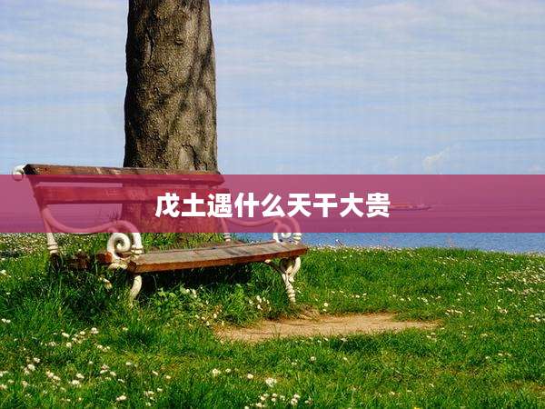 戊土遇什么天干大贵