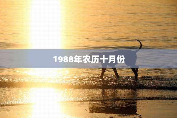 1988年农历十月份
