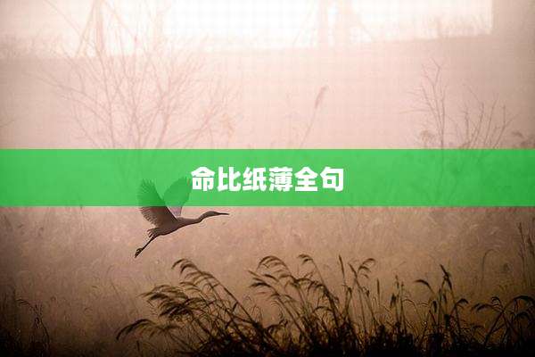 命比纸薄全句