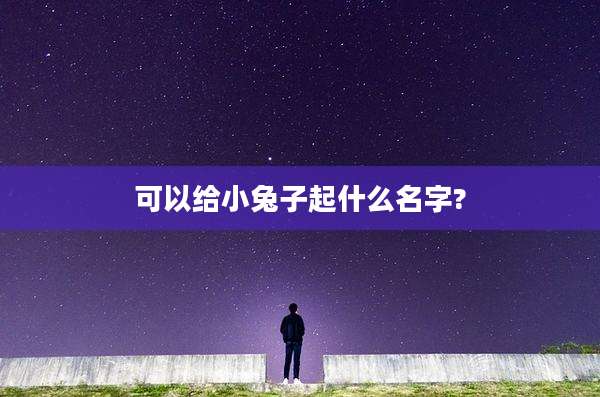 可以给小兔子起什么名字?
