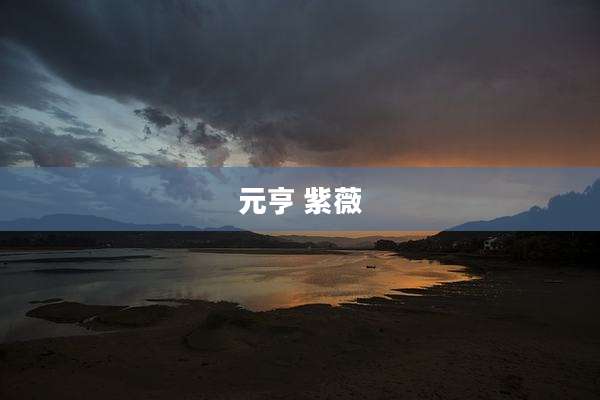 元亨 紫薇