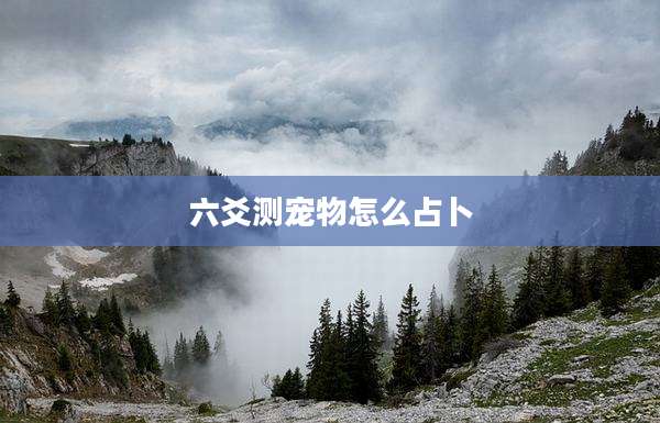 六爻测宠物怎么占卜
