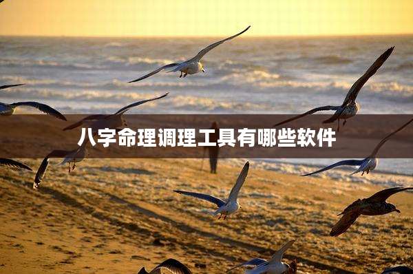 八字命理调理工具有哪些软件