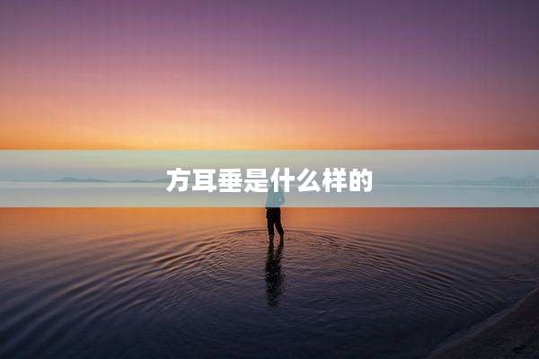 方耳垂是什么样的
