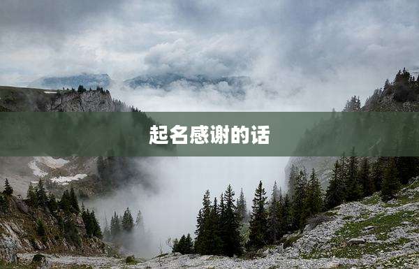起名感谢的话