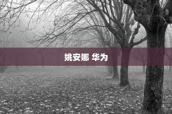 姚安娜 华为