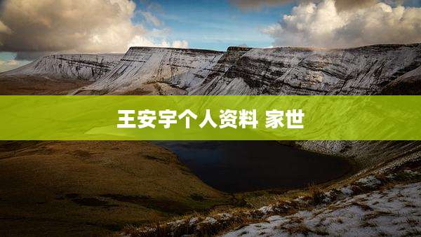 王安宇个人资料 家世