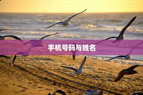 手机号码与姓名
