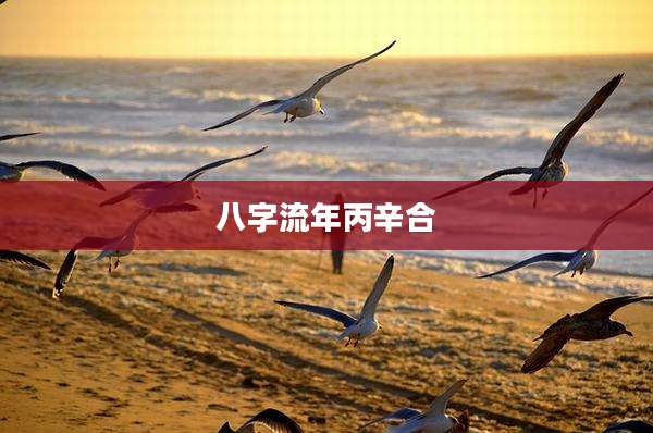 八字流年丙辛合