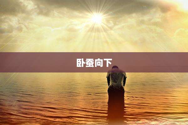 卧蚕向下
