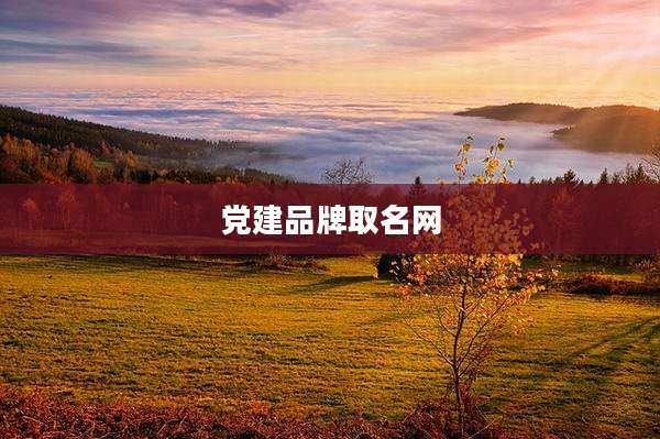 党建品牌取名网