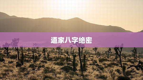 道家八字绝密