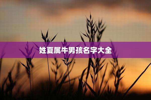 姓夏属牛男孩名字大全