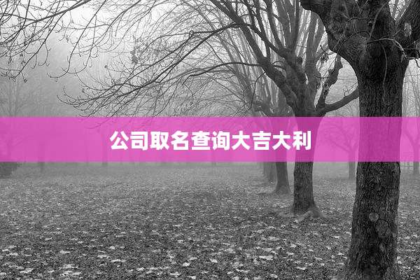 公司取名查询大吉大利