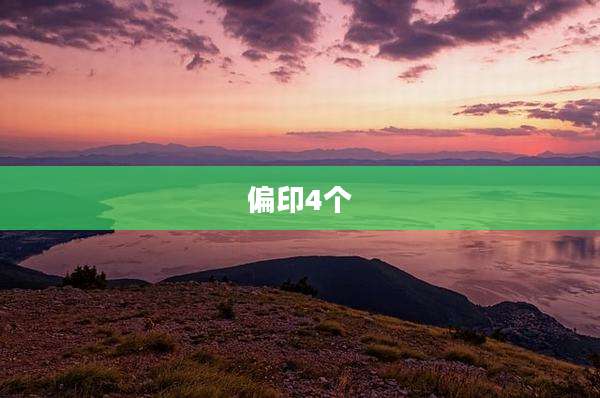 偏印4个
