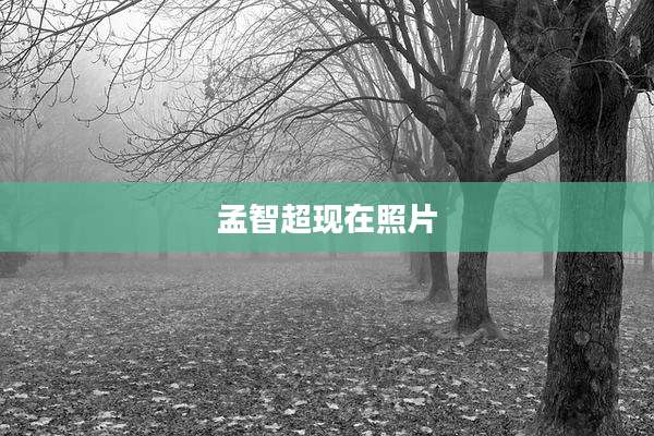 孟智超现在照片
