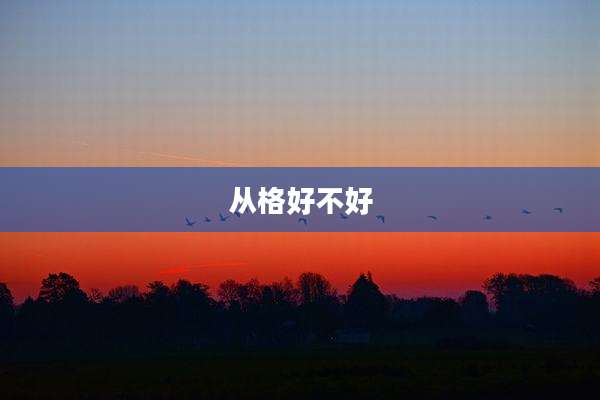 从格好不好