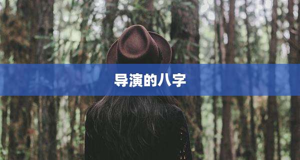 导演的八字