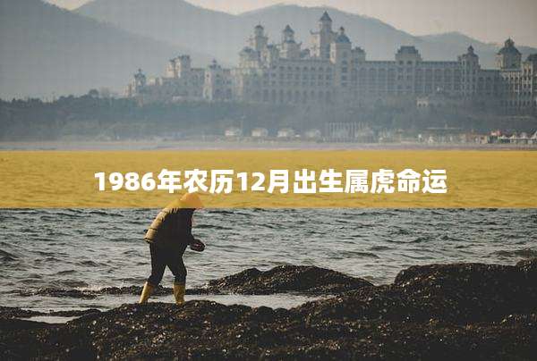 1986年农历12月出生属虎命运