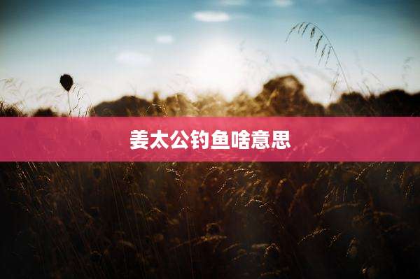 姜太公钓鱼啥意思