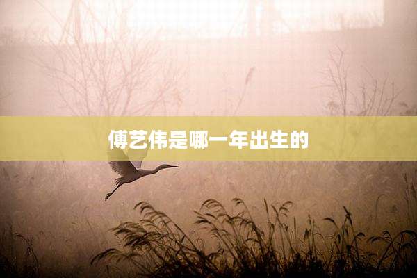 傅艺伟是哪一年出生的