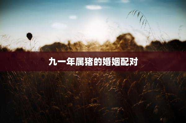 九一年属猪的婚姻配对