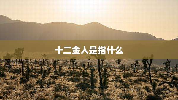 十二金人是指什么